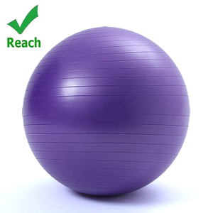 REACH Anti-Burst Pilates&Yoga Exercise Ball Yoga Ball